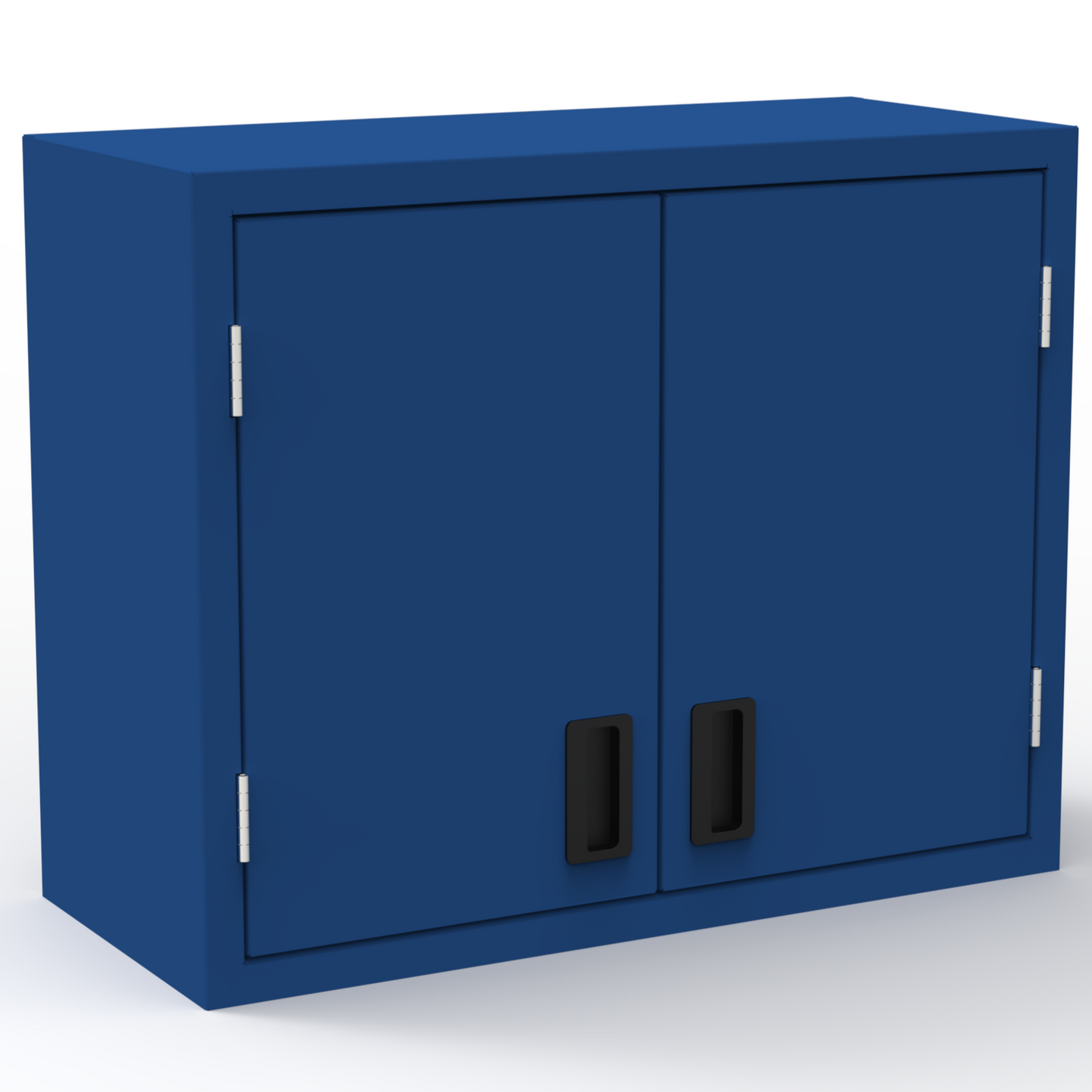 2 Doors Wall-Mount Cabinet - One Shelf - Laboratory Casework