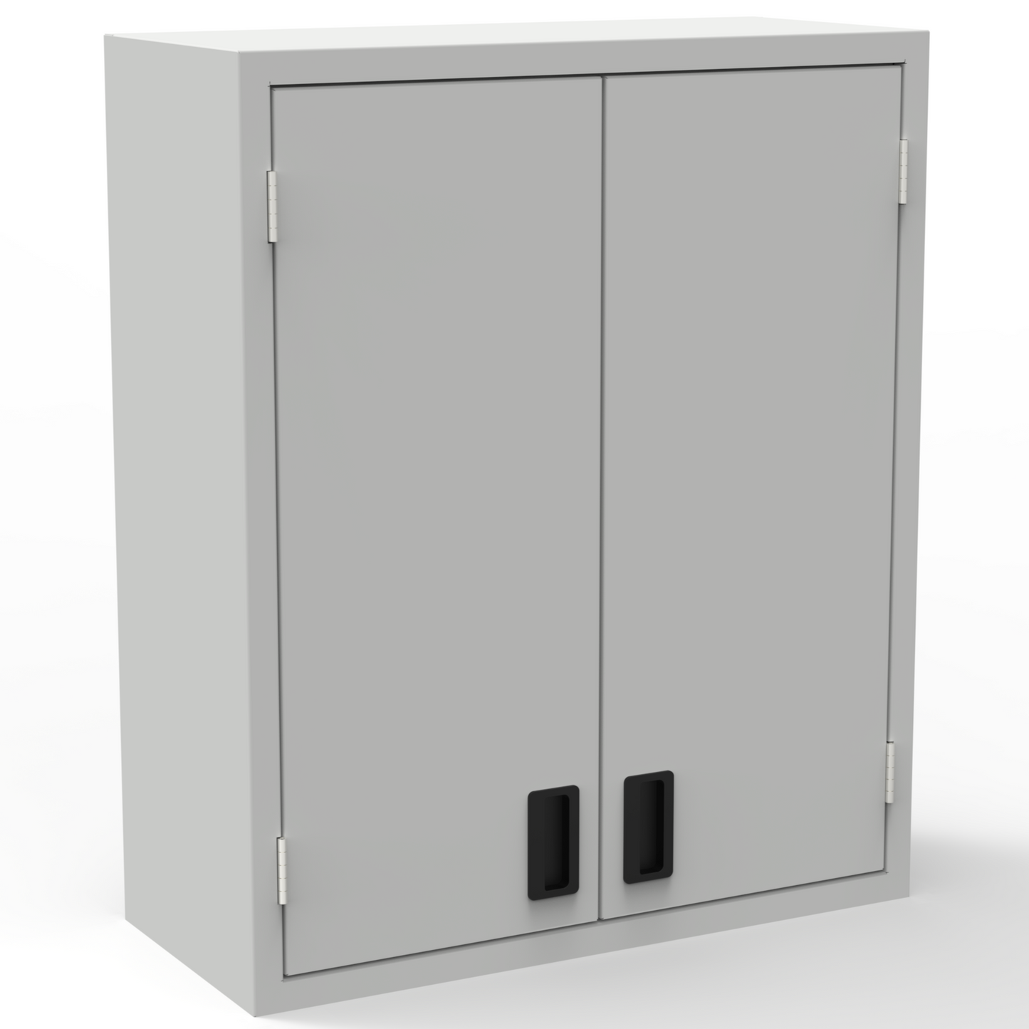 2 Doors Wall-Mount Cabinet - 2 Shelves - Laboratory Casework